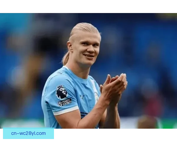 VAR认定哈兰德拉扯不可忽略